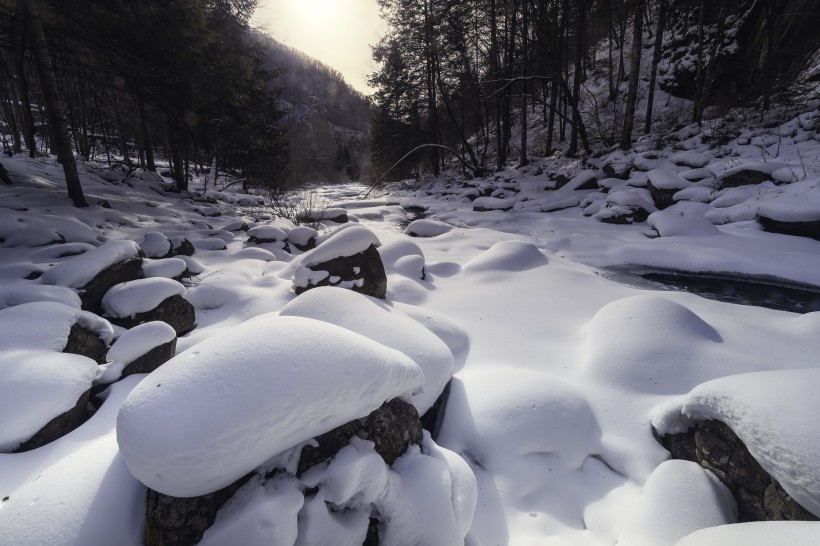 寒冷的冬季雪景圖片