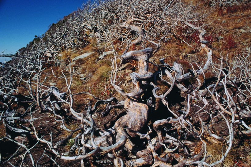 秋季风景图片