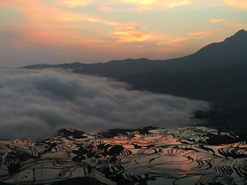 广阔唯美的梯田风景图片