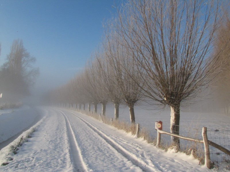 唯美白色雪景圖片