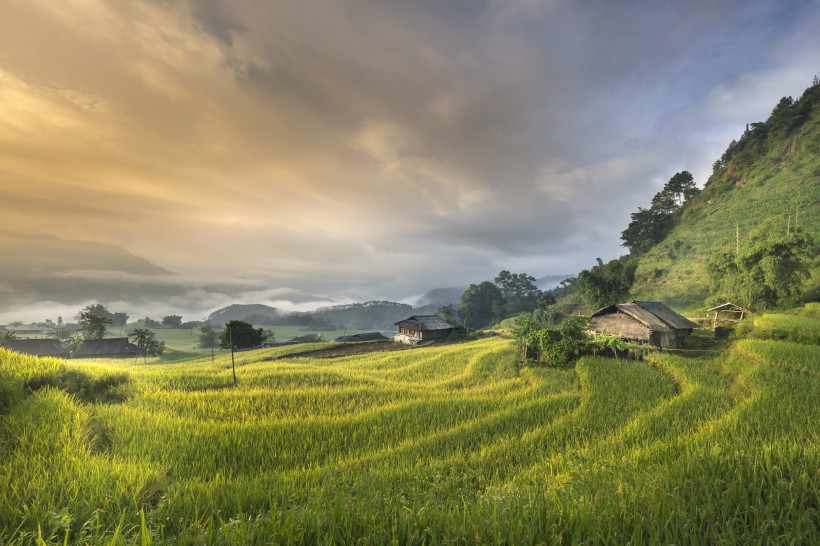 層疊的綠色梯田風(fēng)景圖片