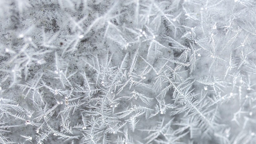 冬季雪后冰花风景图片