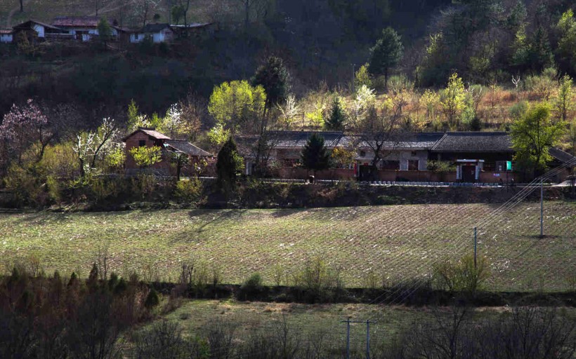 秦岭春天风景图片