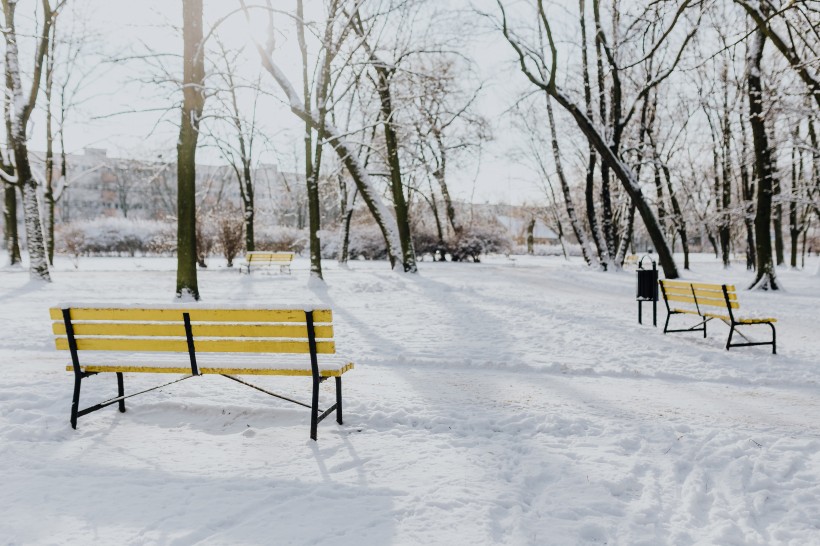 雪地里的公園圖片