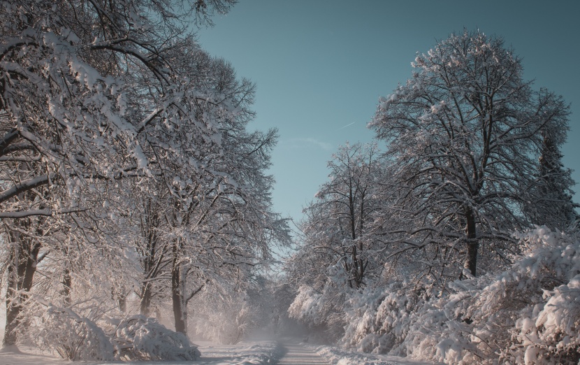 白皚皚的冰雪風(fēng)景圖片