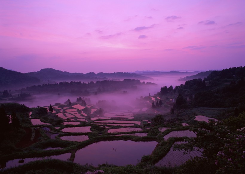 夕阳下的梯田图片