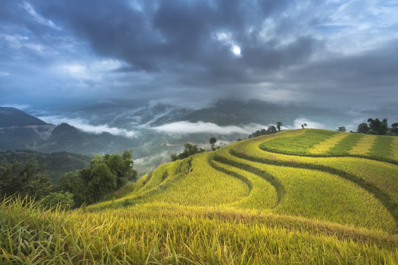 秋季乡村梯田风景图片