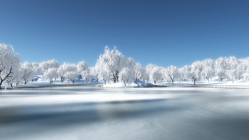 冬日雪景图片