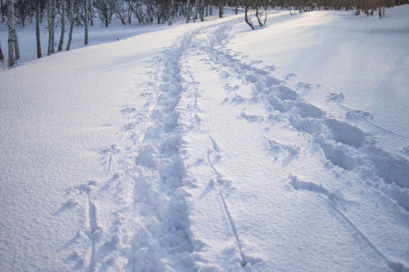 美丽的雪景图片