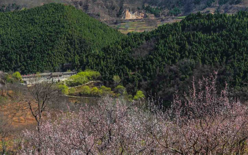 秦岭春天风景图片