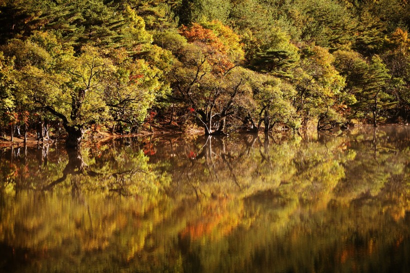 湖面倒影风景图片