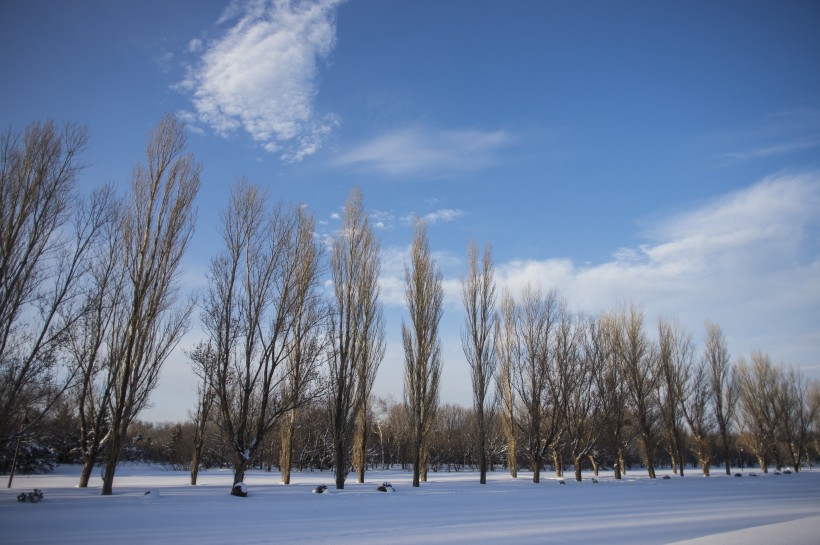 美丽的雪景图片