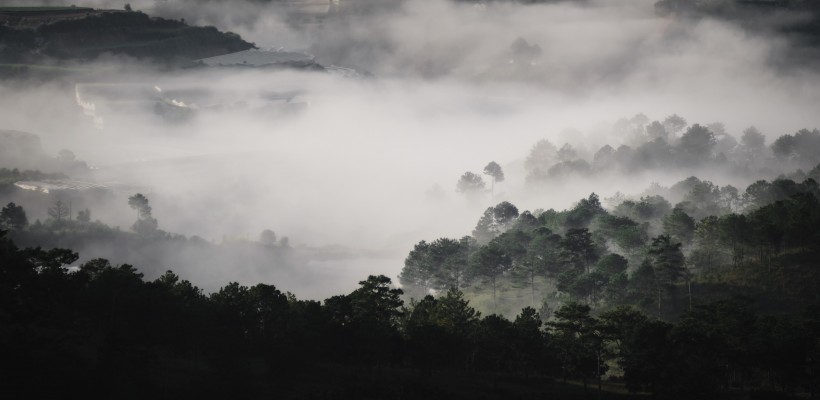 煙霧繚繞的山林圖片