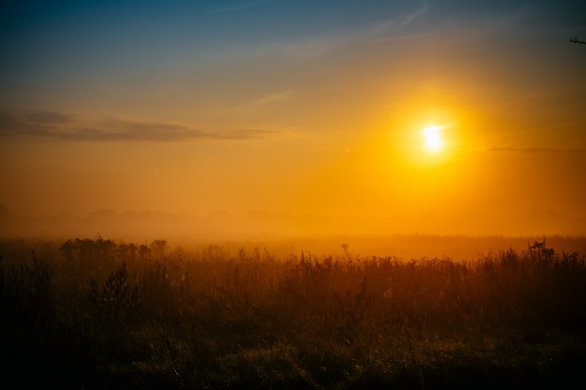 金黄的夕阳图片