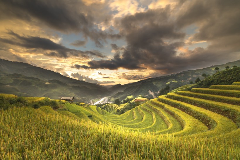 秋季乡村梯田风景图片