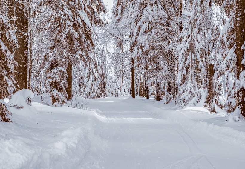 冬季蒼茫的白色雪景圖片