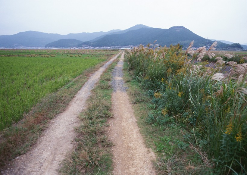 乡间小路