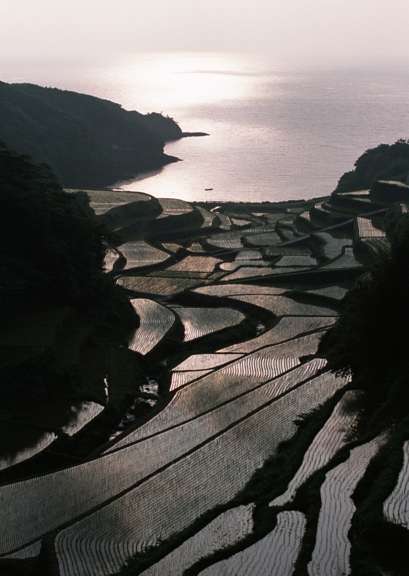 夕陽(yáng)下的梯田圖片