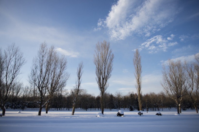 美丽的雪景图片