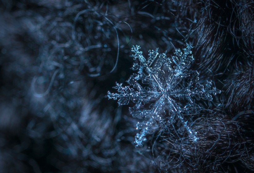 晶莹剔透的雪花图片