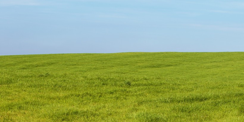 夏日草地風(fēng)景圖片