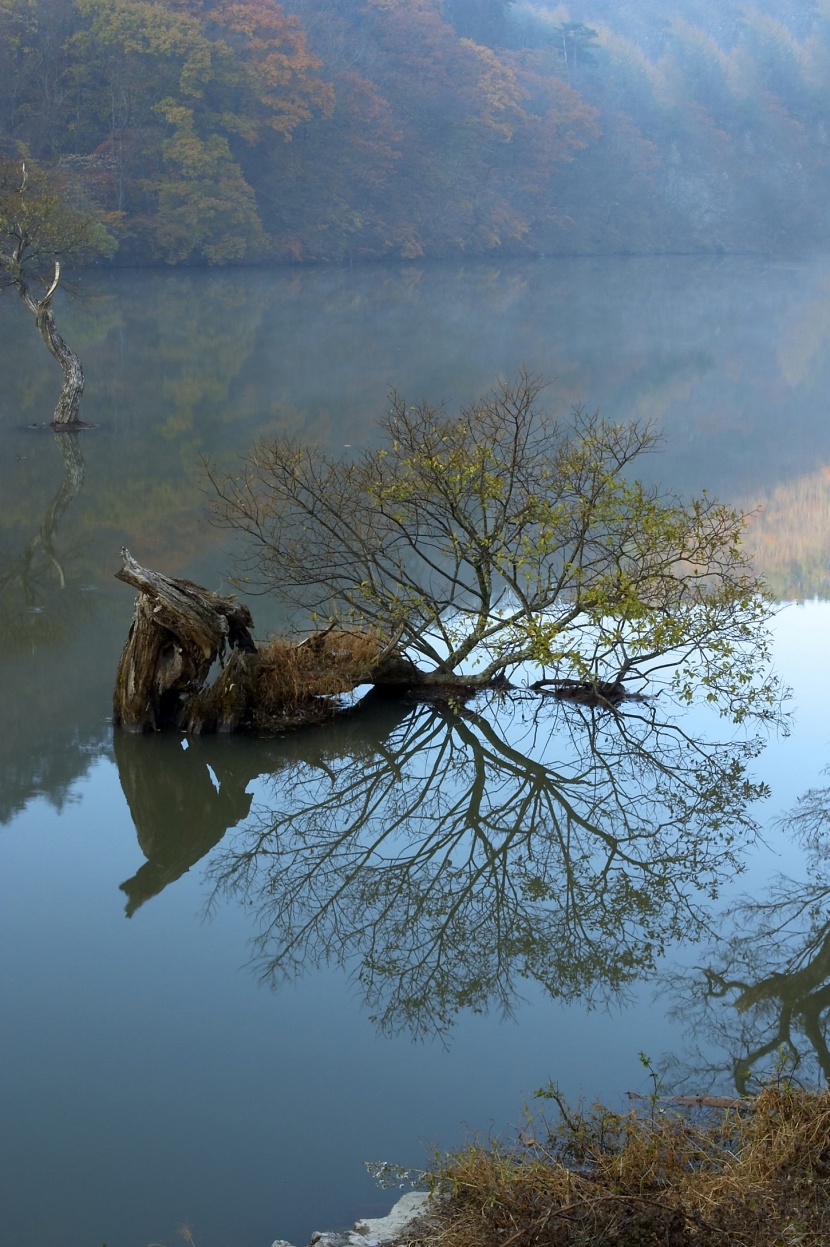 湖面倒影风景图片