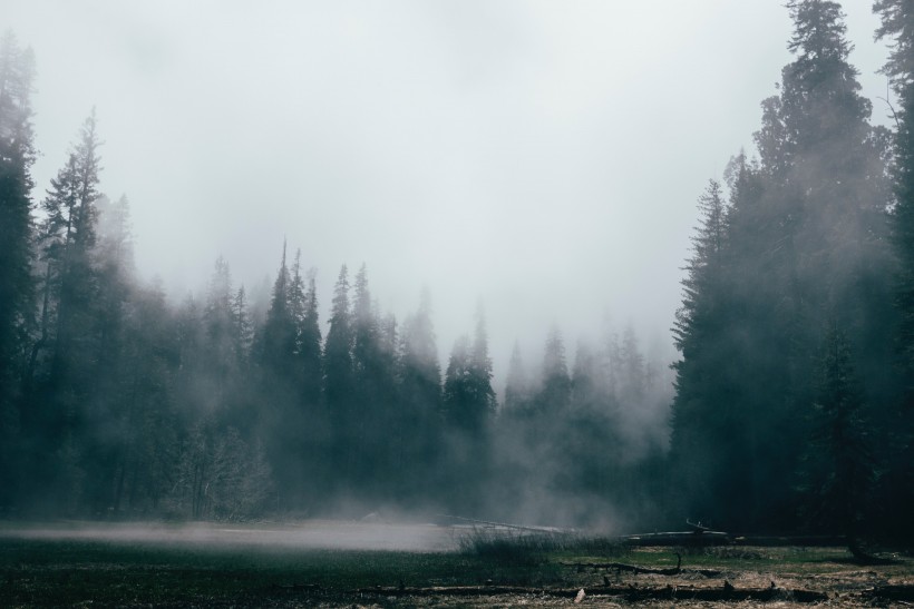 霧氣彌漫的山林圖片