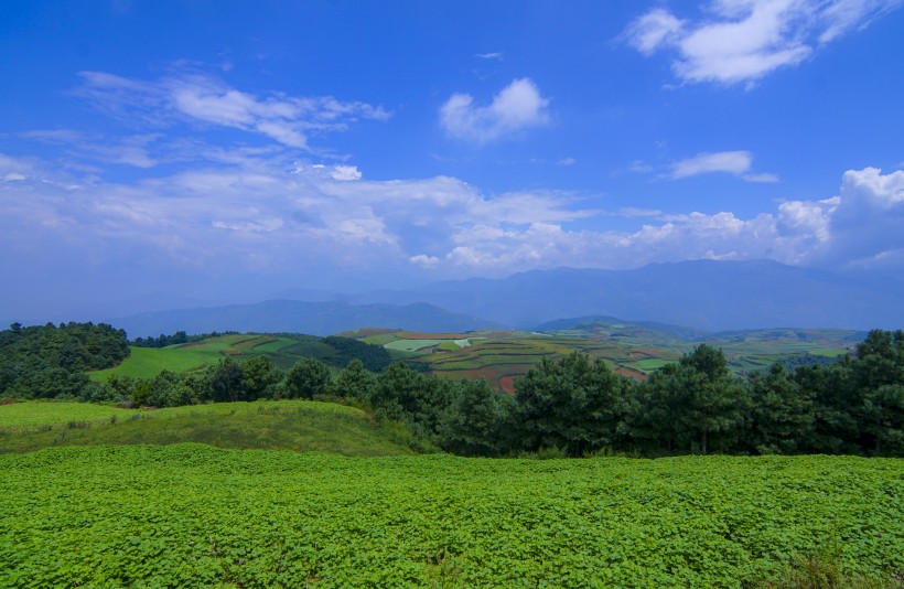 云南东川红土地自然风景图片