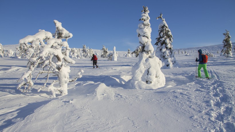 挪威拉普兰冰雪风景图片