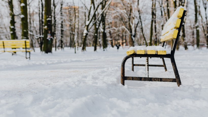 公園里的雪景圖片