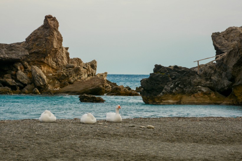 希臘克里特島風(fēng)景圖片