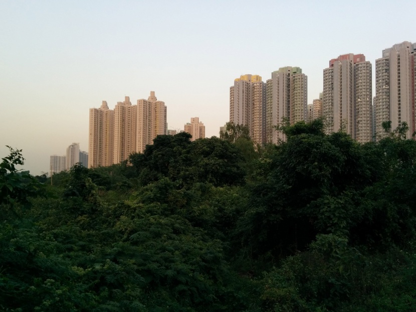 繁华热闹的香港建筑风景图片