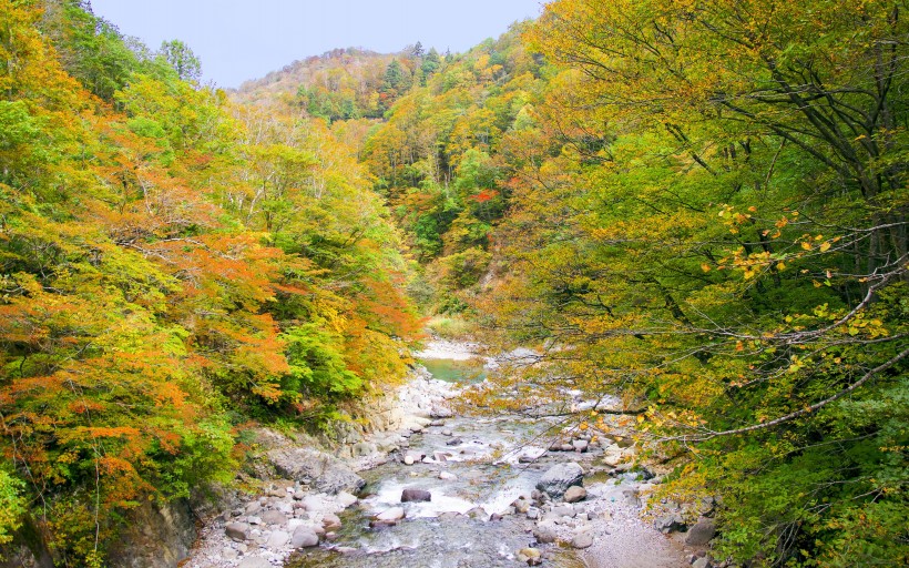 日本长野县自然风景图片