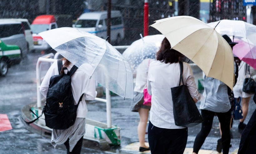 雨天街道打伞的人们图片