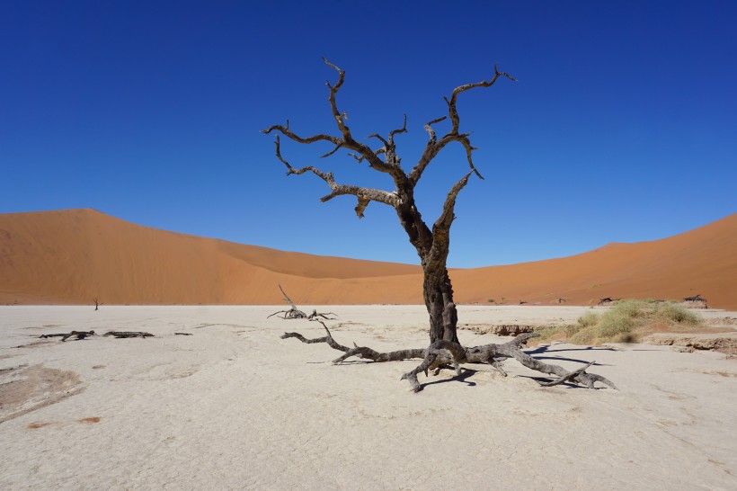 非洲纳米比亚沙漠风景图片