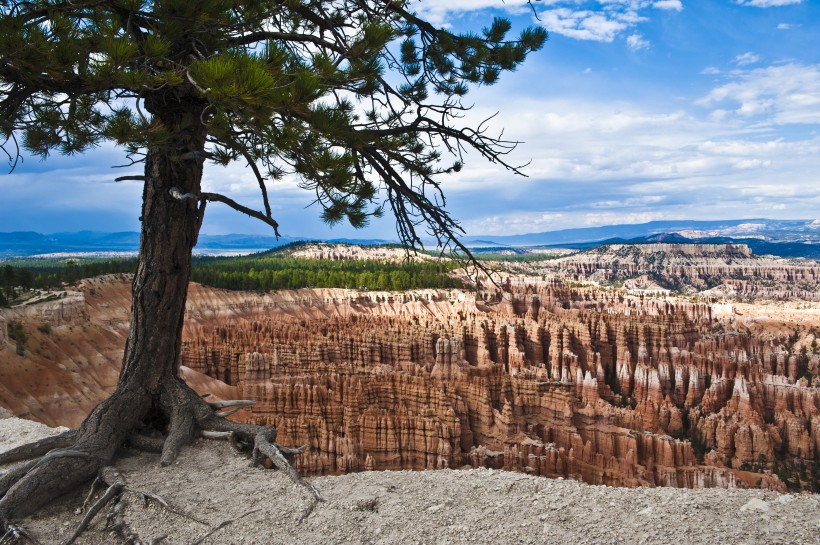 美国犹他州布莱斯峡谷国家公园风景图片