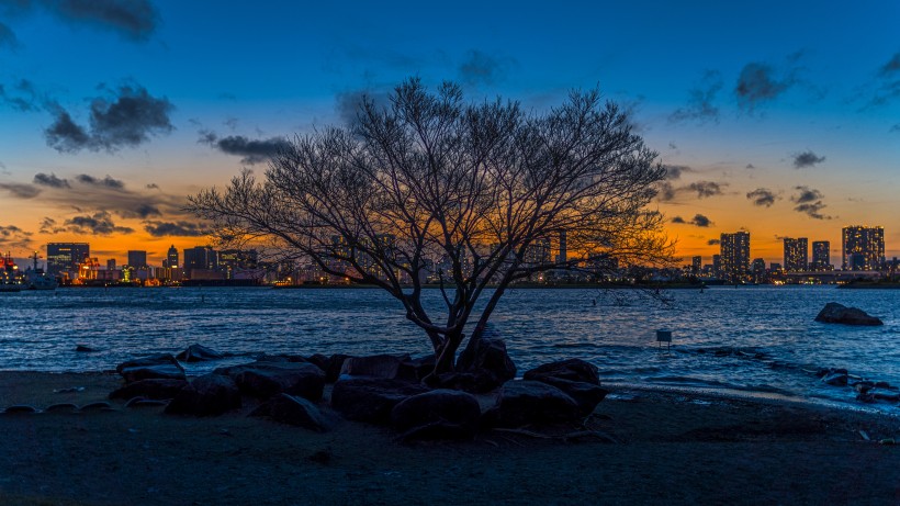 日本东京辉煌绚丽的夜景图片