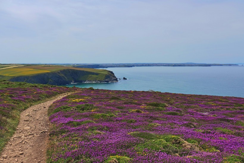 英國英格蘭康沃爾郡風(fēng)景圖片