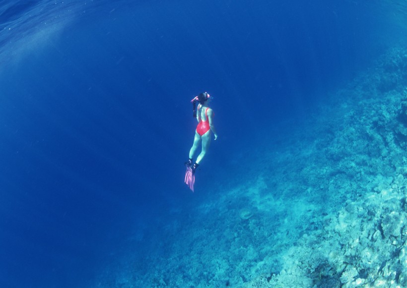 海底潛水圖片