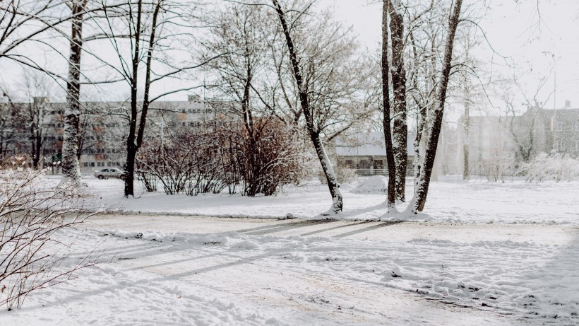 公園里的雪景圖片