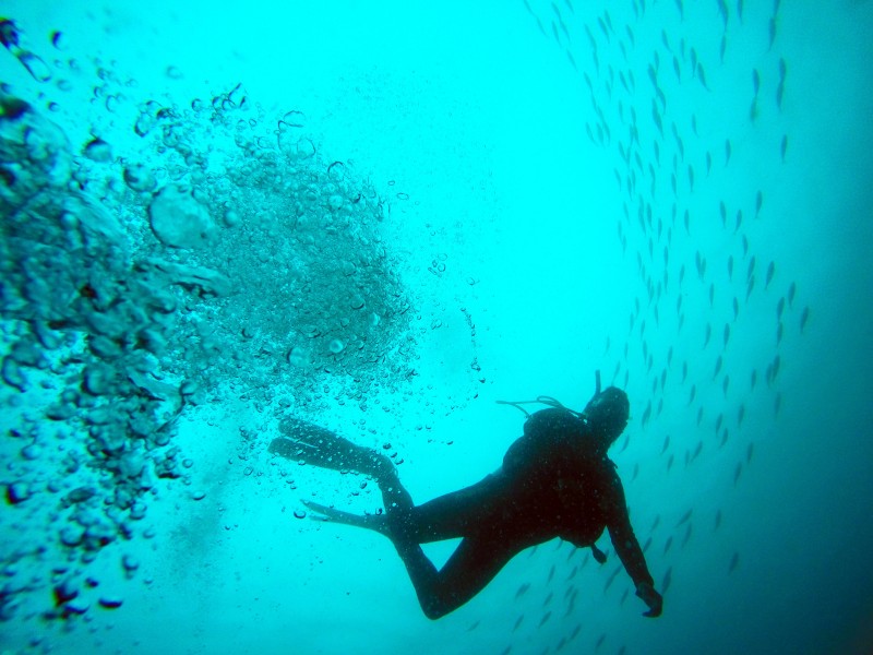 海底潛水人物圖片