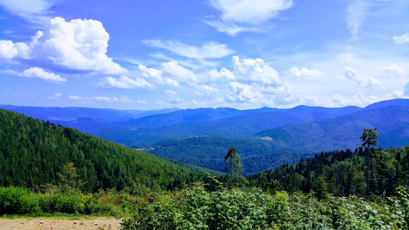 烏克蘭喀爾巴阡山自然風(fēng)景圖片