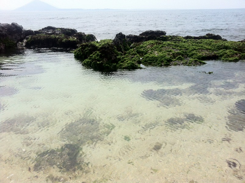 韩国济州岛海岸风景图片