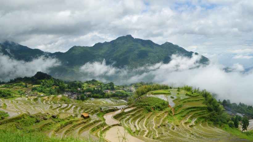 浙江丽水云和梯田风景图片