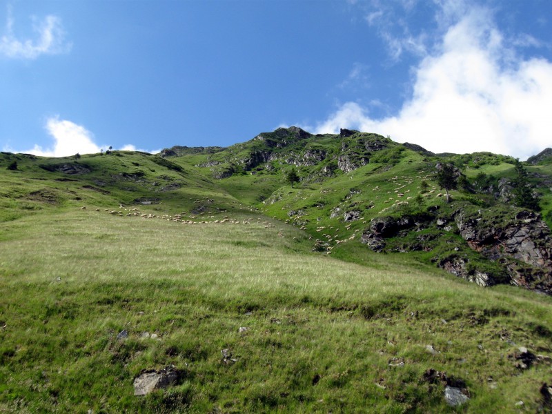 乌克兰喀尔巴阡山自然风景图片