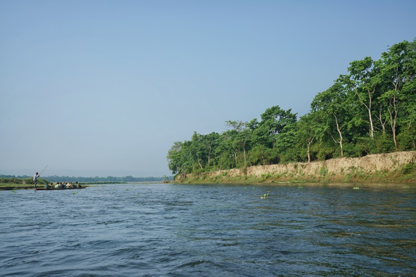 尼泊爾奇特旺國(guó)家公園河流自然風(fēng)景圖片