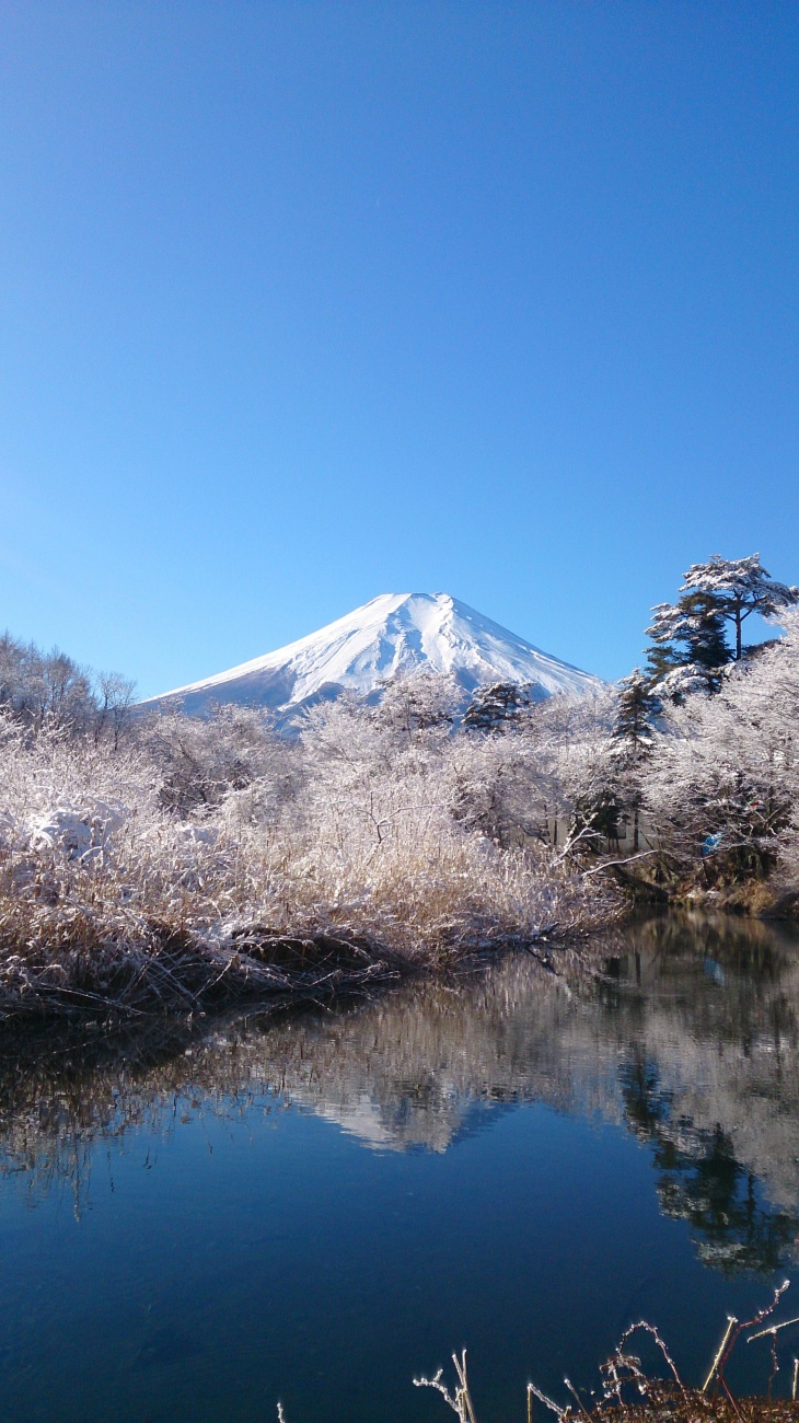 日本富士山图片