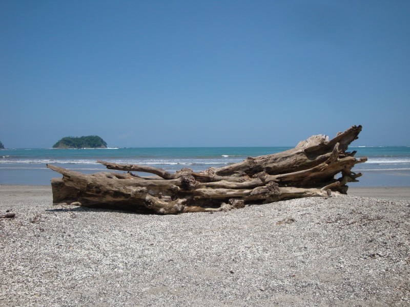 哥斯达黎加优美海岸自然风景图片