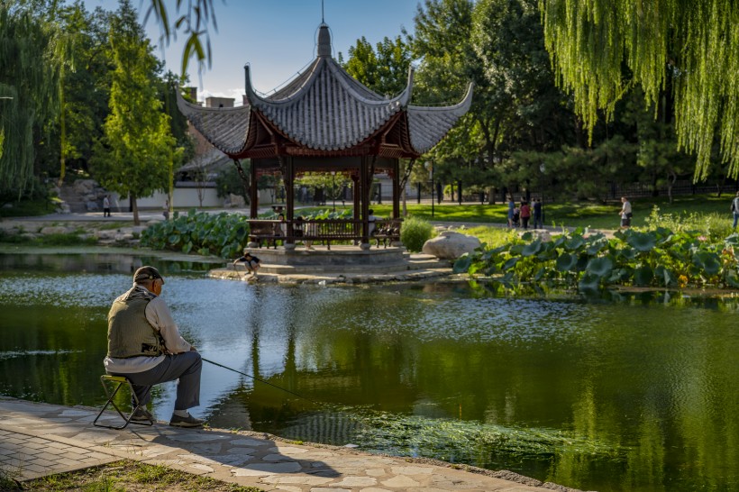 北京陶然亭公园风景图片