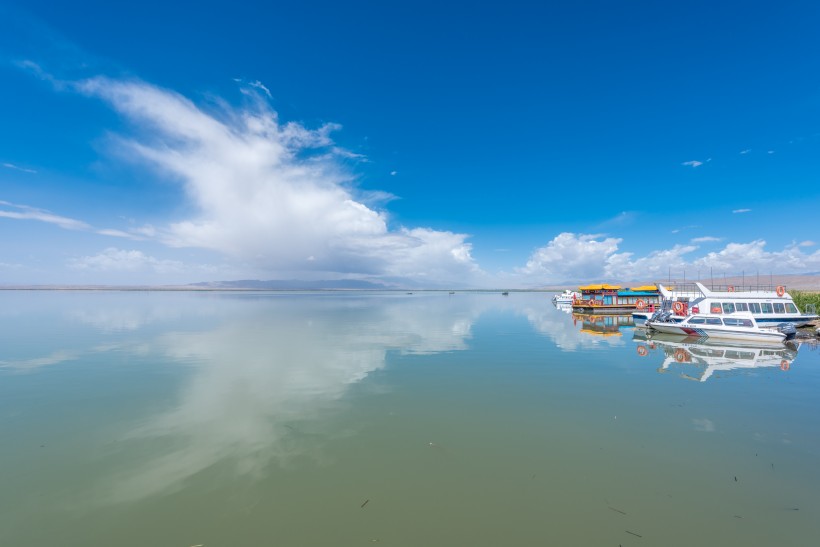 青海夏季草原自然风景图片